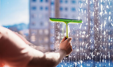 How Often Should You Clean Your Windows?